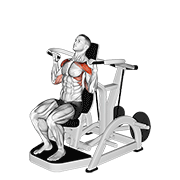 lever shoulder press v. 3 animation