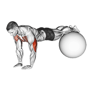 narrow push-up on exercise ball animation