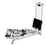 sled lying calf press animation