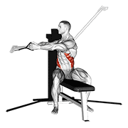 cable seated twist animation