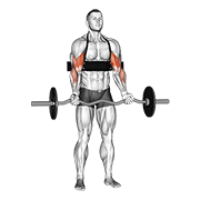 ez-bar biceps curl (with arm blaster) animation