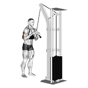 cable triceps pushdown (v-bar) (with arm blaster) animation