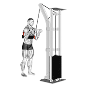 cable reverse grip triceps pushdown (sz-bar) (with arm blaster) animation