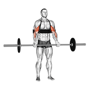 barbell biceps curl (with arm blaster) animation