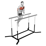 chest dip on straight bar animation