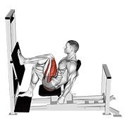 lever horizontal one leg press animation