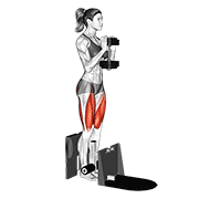 dumbbell supported squat animation