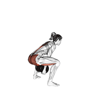 dumbbell sumo pull through animation