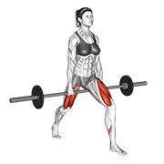 barbell split squat v. 2 animation