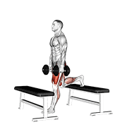 dumbbell step-up split squat animation