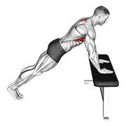 incline scapula push up animation