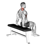 scapula dips animation