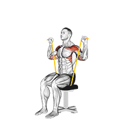 resistance band seated shoulder press animation