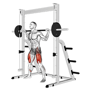 smith sumo squat animation