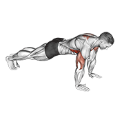 push-up plus animation