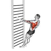 bodyweight standing one arm row (with towel) animation