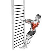 bodyweight standing row (with towel) animation