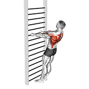 bodyweight standing row animation