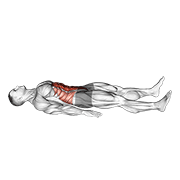 quarter sit-up animation