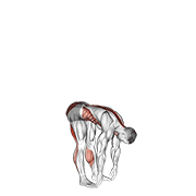 basic toe touch (male) animation