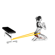resistance band hip thrusts on knees (female) animation