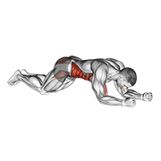 kneeling plank tap shoulder (male) animation