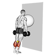 exercise ball on the wall calf raise (tennis ball between knees) animation