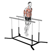 elbow dips animation