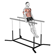 impossible dips animation