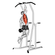 weighted one hand pull up animation