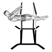 front lever animation