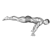 full planche animation