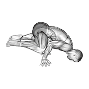 frog planche animation