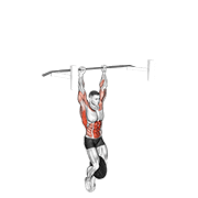 weighted muscle up (on bar) animation