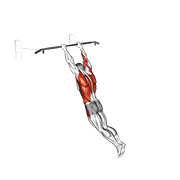 swing 360 animation