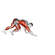 bear crawl animation