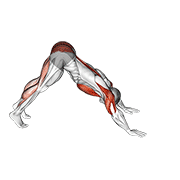 pike-to-cobra push-up animation