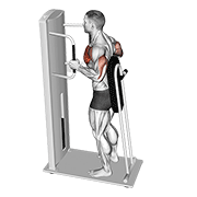 lever standing chest press animation