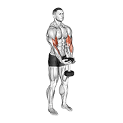 dumbbell waiter biceps curl animation